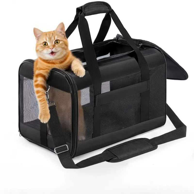 Cat Box, Airplane-Compatible, Soft-Sided Dog Transport Box with Inner Lead, Foldable Travel Bag
